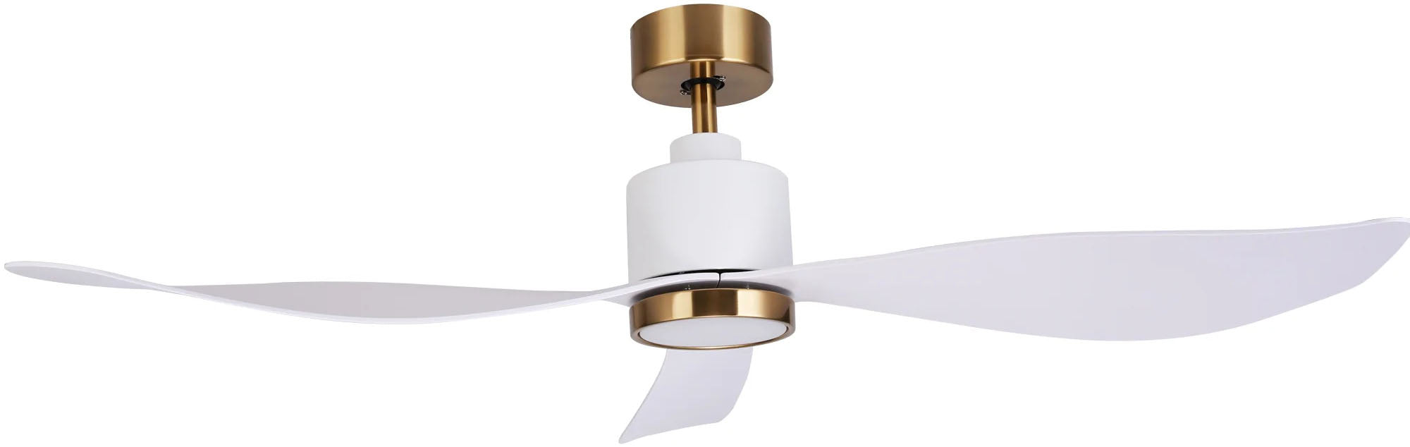 Ceiling Fan With Light