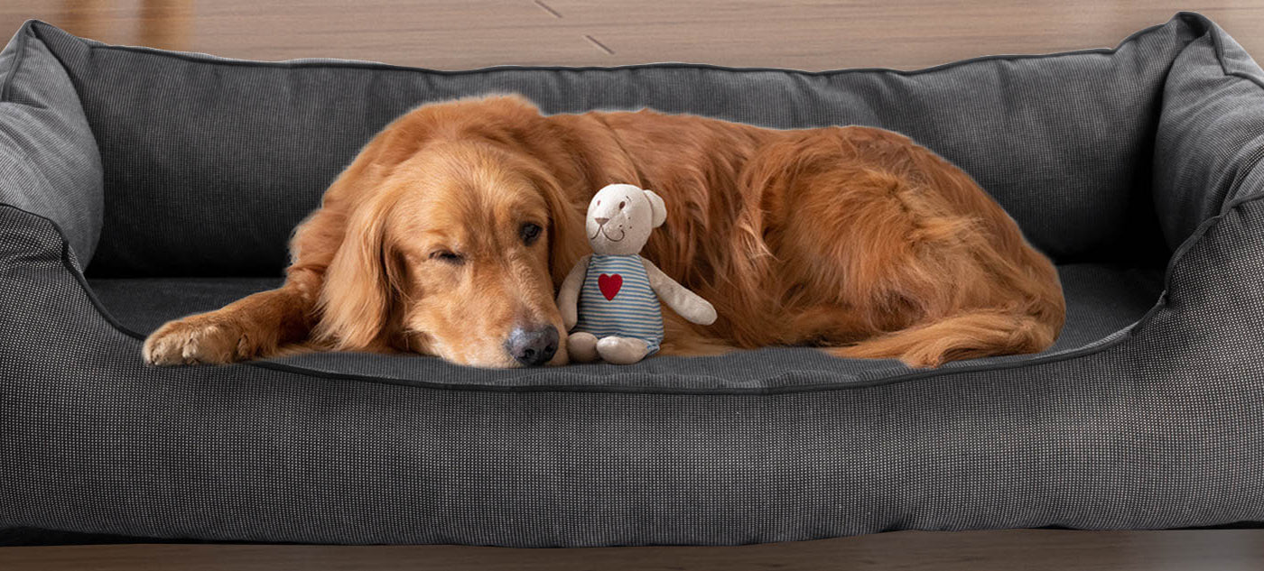 Dog Bed
