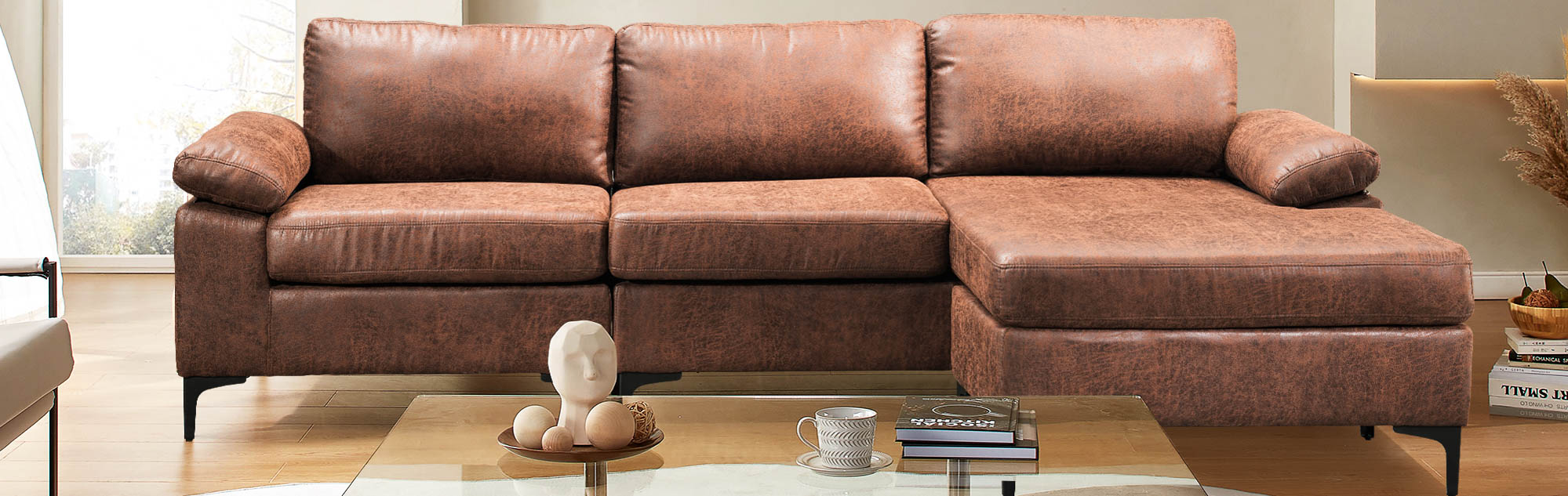 Living Room Sofa