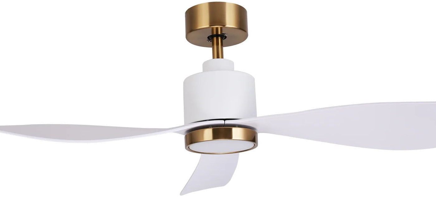 Ceiling Fan With Light