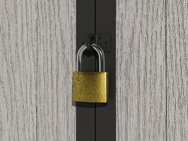 Secure Door Lock