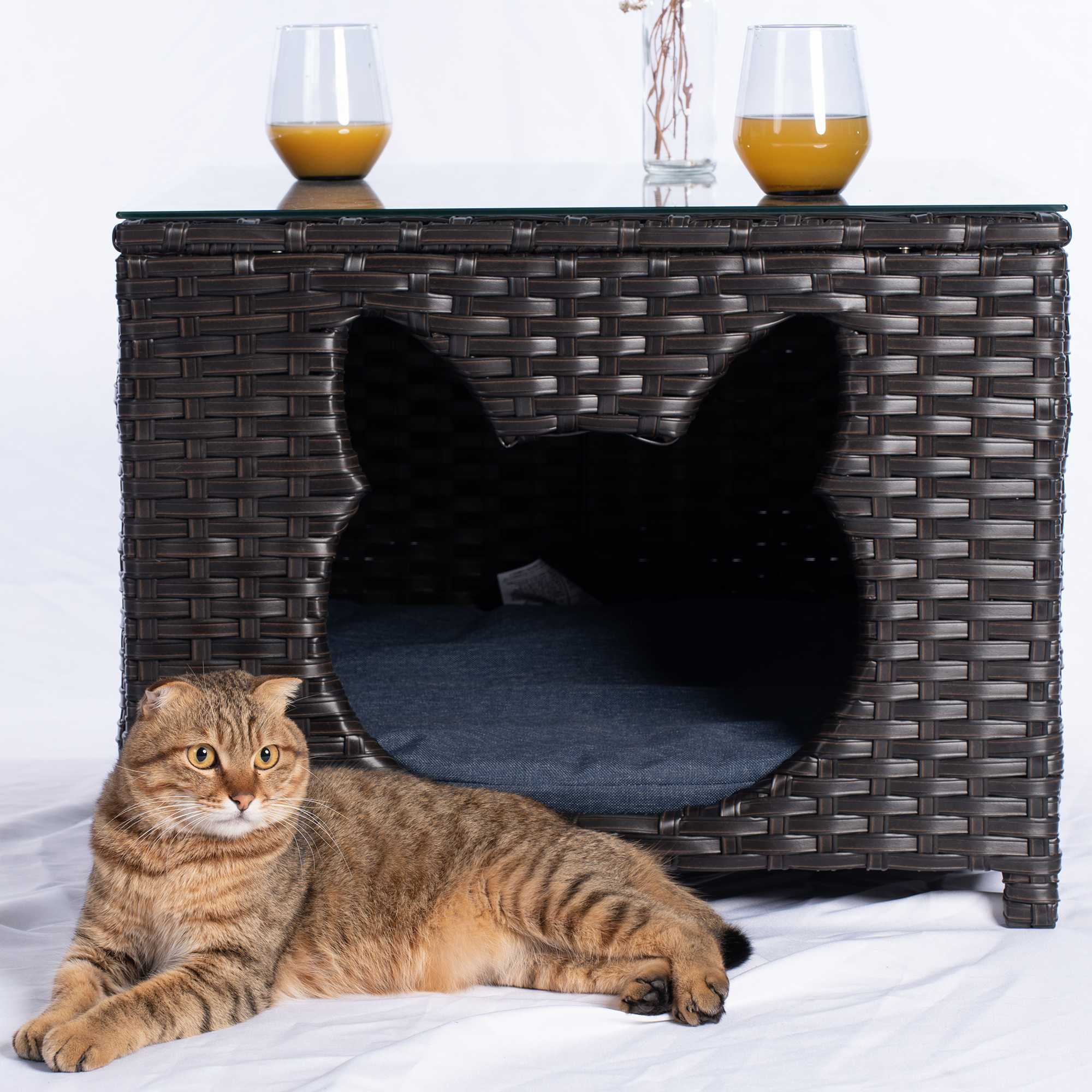 #Finish_Brown Wicker A|#Style_Cat