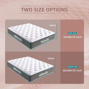 Xizzi 14" Medium Hybrid Mattress Bamboo Fiber Fabric Cover Cooling Gel Memory Foam