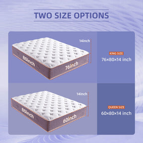 Xizzi 14" Medium Hybrid Mattress Bamboo Fiber Fabric Cover Cooling Gel Memory Foam